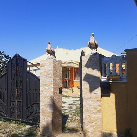 Sion In Ulmu Διαμέρισμα Εξωτερικό φωτογραφία